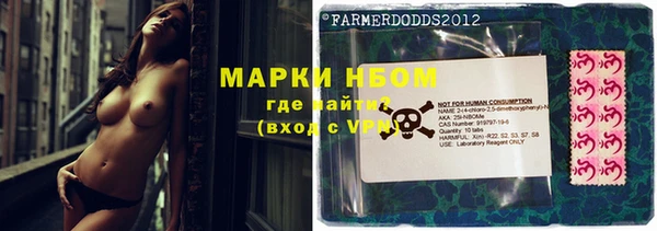 хмурый Аркадак