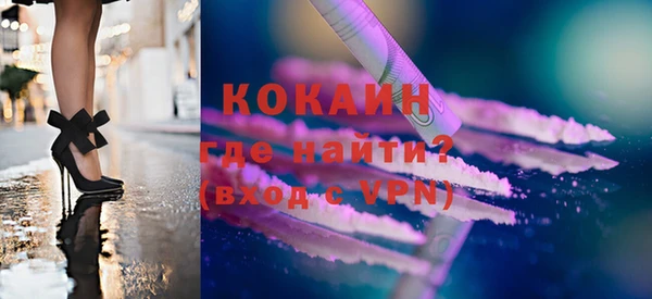 хмурый Аркадак