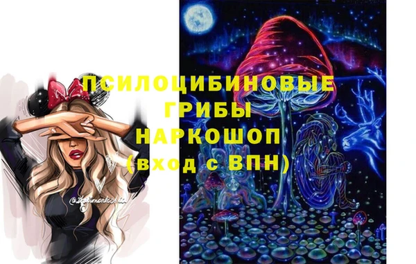 герыч Арсеньев