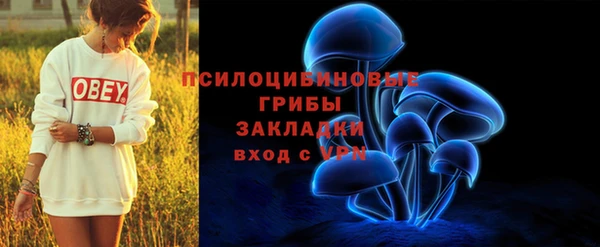 герыч Арсеньев