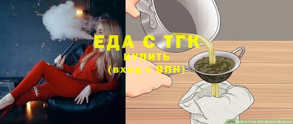 хмурый Аркадак