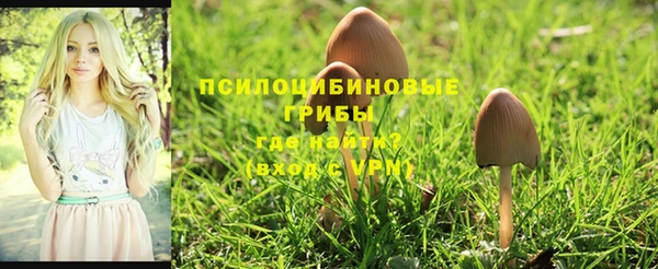 герыч Арсеньев
