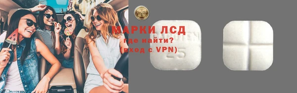 хмурый Аркадак