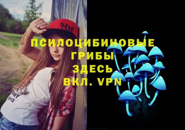 хмурый Аркадак