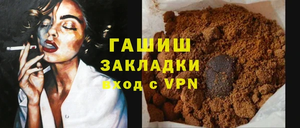 хмурый Аркадак