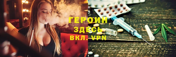 хмурый Аркадак