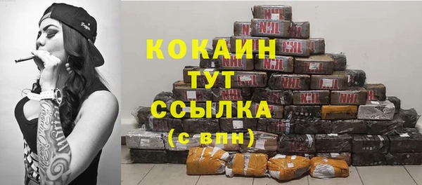 хмурый Аркадак