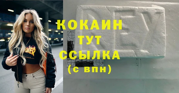 хмурый Аркадак