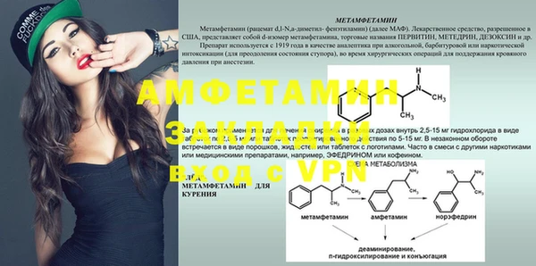 хмурый Аркадак