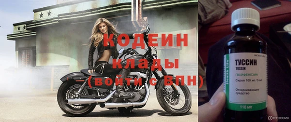хмурый Аркадак